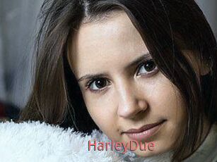 Harley_Due