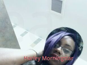 Harley_Morningstar