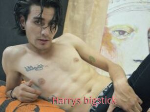 Harrys_bigstick