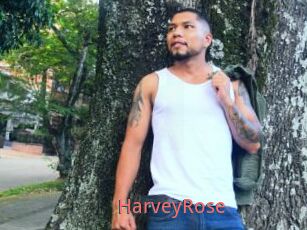 HarveyRose