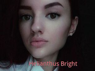 Helianthus_Bright