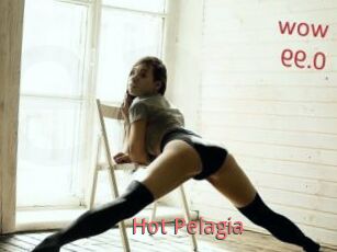 Hot_Pelagia