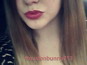 Houstonbunny713