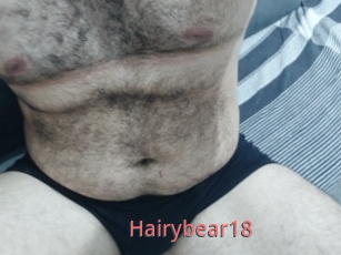 Hairybear18