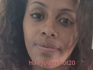 Hairypussyhot20