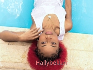 Hallybekker