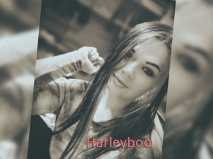 Harleyboo