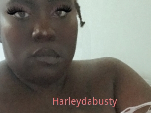 Harleydabusty