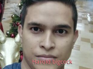 Harold_bigcock