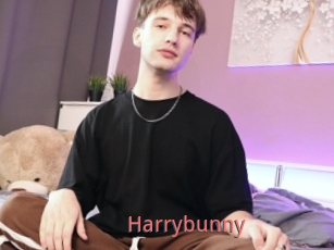 Harrybunny