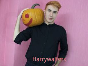 Harrywalters