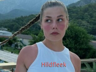 Hildfleek