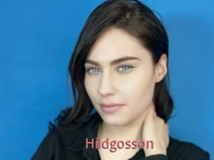 Hildgosson