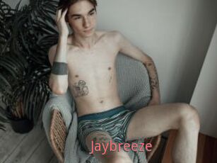 Jaybreeze