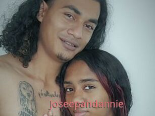 Joseepandannie