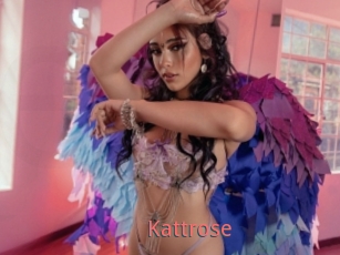 Kattrose