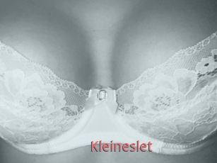 Kleineslet
