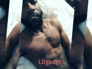 LDgadget