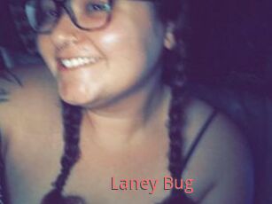 Laney_Bug