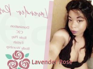 Lavender_Rose