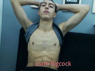 Liam_Bigcock