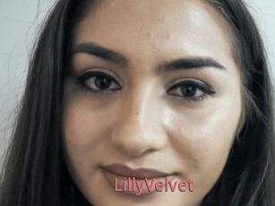 LillyVelvet