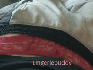 Lingeriebuddy