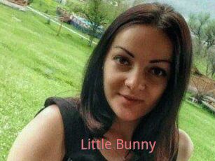 Little_Bunny_