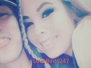 LoveBirds247