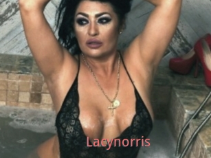 Lacynorris