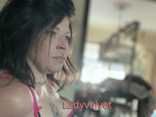 Ladyvelvet