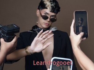 Leandrogooet