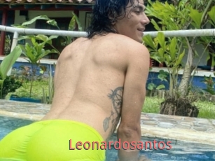 Leonardosantos