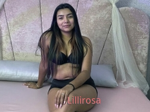 Lillirosa