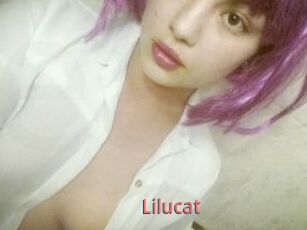 Lilucat