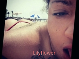 Lilyflower