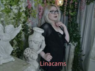 Linacams