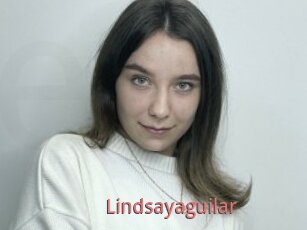 Lindsayaguilar