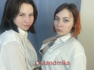 Lisaandmika