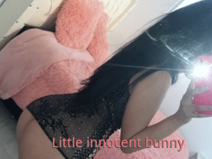 Little_innocent_bunny