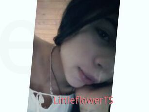 LittleflowerTS