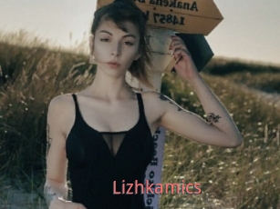 Lizhkamics