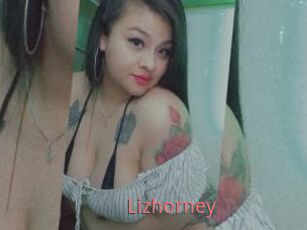 Lizhorney