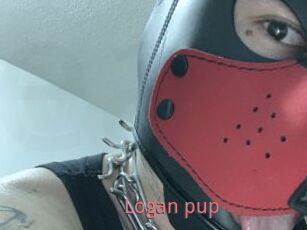 Logan_pup