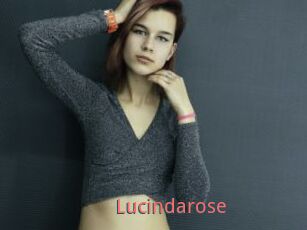 Lucindarose