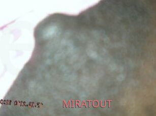 MIRATOUT