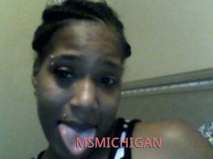 MSMICHIGAN