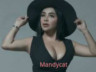 Mandycat