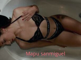 Mapu_sanmiguel