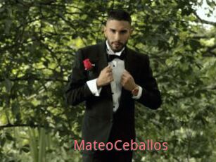 MateoCeballos